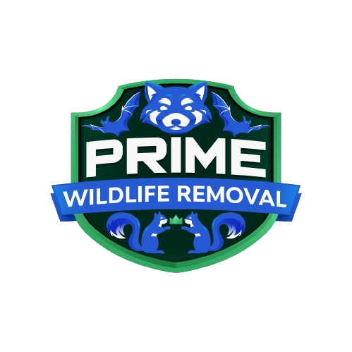 Jasper County Wildlife Removal